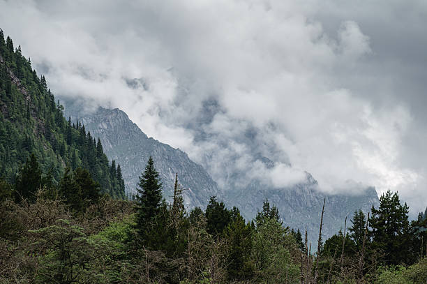 istock Plateau high mountain forest landscape 2224910312