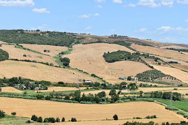 istock Valley of River Marta in Viterbo 2224911836