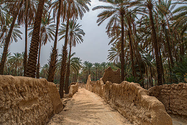 istock The so-called “Old Dadan Trail”, Al-'Ula, Saudi Arabia. 2224912620