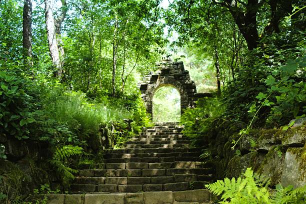 istock Woodland Arch 2224913673