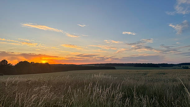 Golden sunset casts warm hues over expansive fields and rolling hills in a tranquil evening landscape