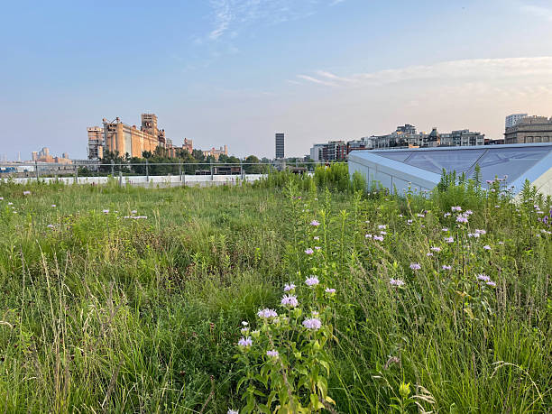 istock Beautiful view of Montreal, Quebec 2224923802