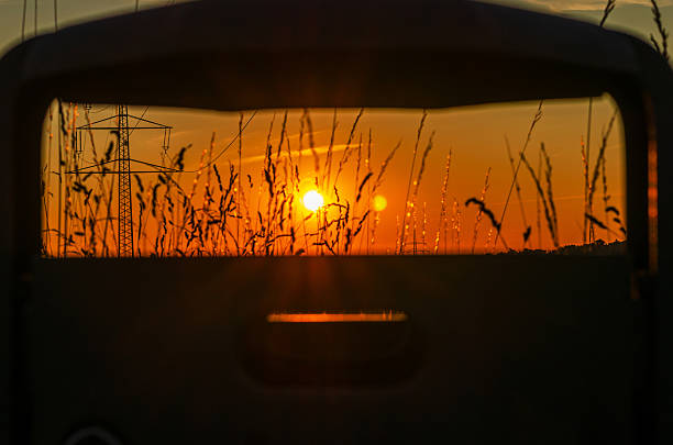A sugar beet harvester works tirelessly during sunset in expansive rural fields. The vibrant sky and machine's lights create a dramatic agricultural scene, reflecting the hard work of farming.