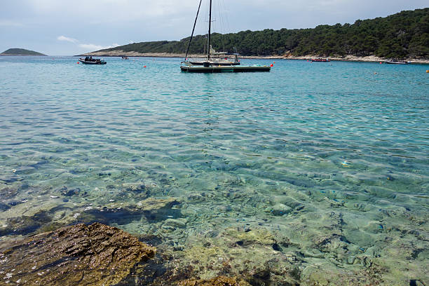 amazing Palmizana Beach in Hvar archipelago, Split Dalmatia County, Croatia.