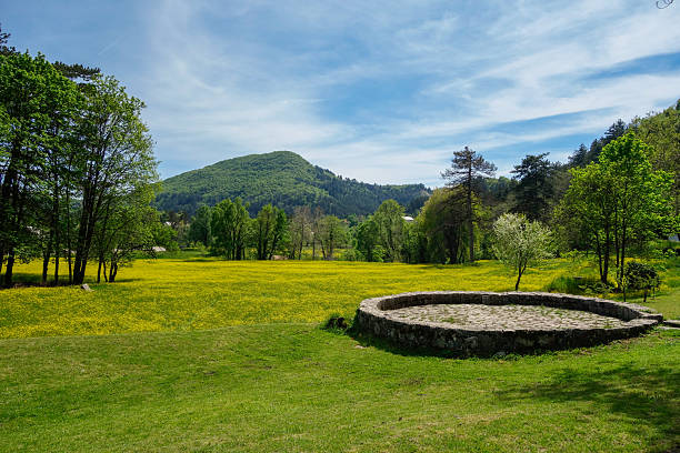 istock Cetinje, Montenegro: beautiful yellow flower field in spring. 2224928921