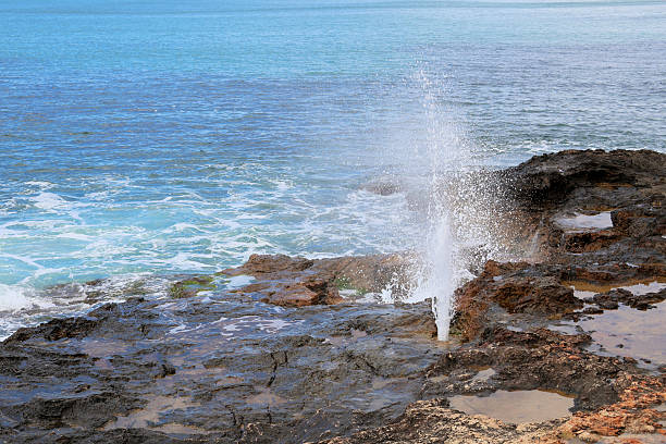 A stunning natural geyser erupts dramatically along the rugged coastline, creating a captivating display of water against a backdrop of the blue sea. The combination of waves and geysers adds a unique element to this coastal landscape, inviting onlookers to marvel at nature's impressive power.