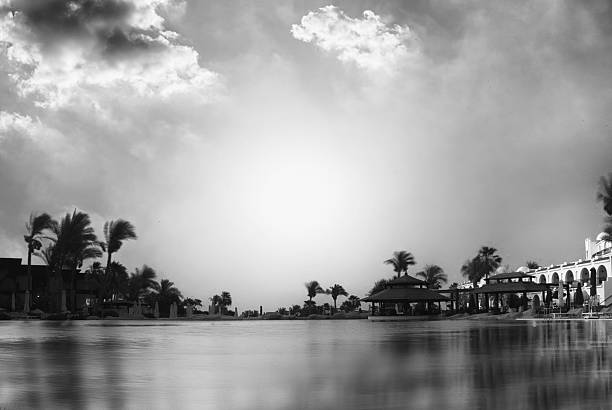 A black and white image of a large tropical Palm leaf showing the delicate intricate detail