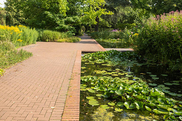 istock Summer in the Park 2224944534