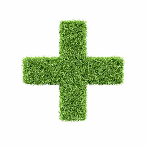 istock Plus Sign Made of Green Grass on Isolated White Background - Object Clipping Path 2224946689