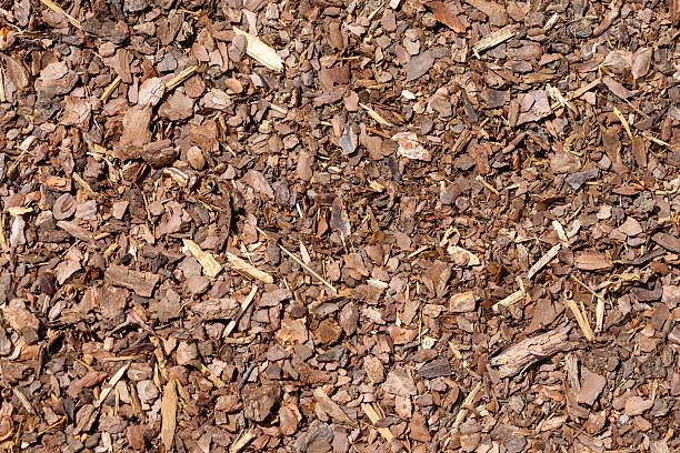 Overhead View of Wood Bark Mulch