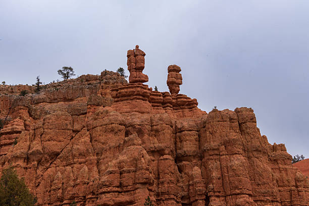 Red Canyon, near of Bryce Canyon National Park, explodes with a fiery symphony of color. Unlike its more famous neighbor, Red Canyon offers a subtler, yet equally captivating, beauty. Imagine towering cliffs and hoodoos, sculpted by eons of wind and water, ablaze in a palette of reds that range from deep crimson to delicate rose. The sunlight dances on these rock formations, setting them ablaze with an ever-shifting play of light and shadow.