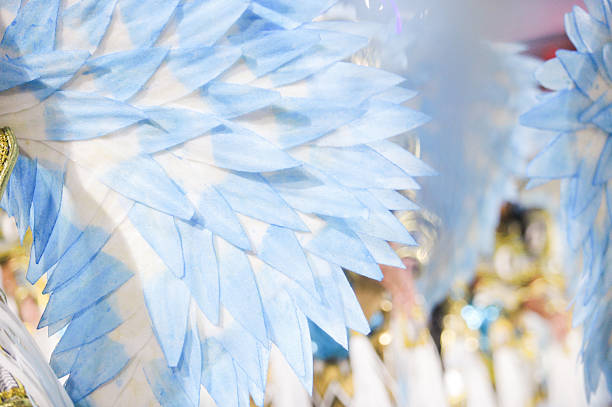 istock decorative feathers from a carnival costume in Rio de Janeiro. 2224959932