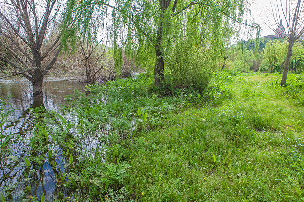 istock Jerte river close to Galisteo, Caceres 2224963800