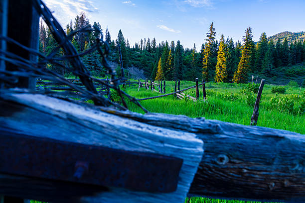 Old West Fence Rural Scene - Mountain meadow with old homestead ranch fence.