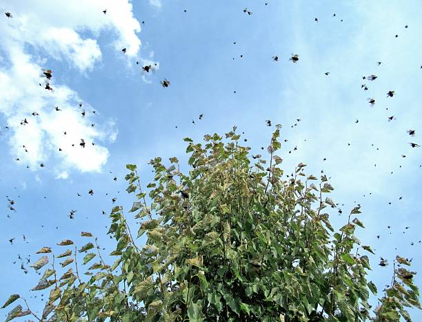 istock Nature...