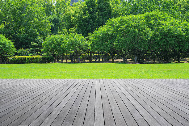 istock Empty wooden platform on green grass field with forest background 2224975543