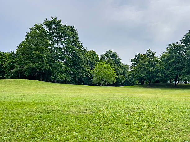 istock A perfect day outside in the green 2224976961