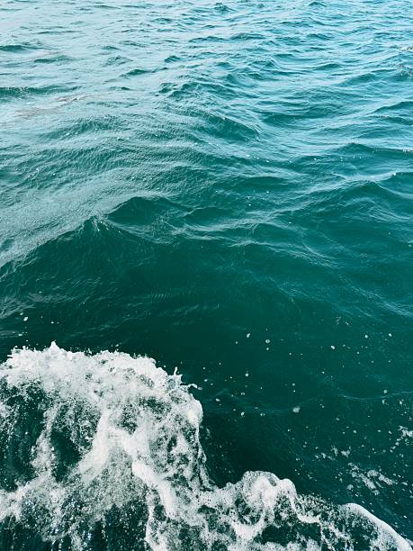 Ocean waters with rippling waves and gentle sea foam create a tranquil scenic view. The blue-green tones of the sea reflect the serene atmosphere of the moving water under sunlight.