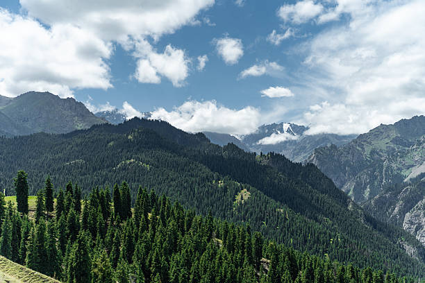 istock Forests, mountains, rivers and the blue sky 2224988132