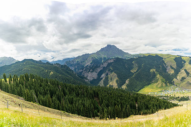 Vibrant forests, mountains, and blue skies