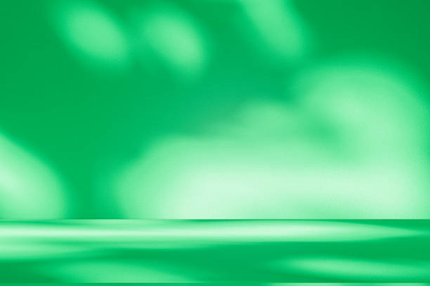 istock Studio style background wall decoration presentation uses white and green tones. with shadows cast from a nearby window, concept creating a decorative 2224988755