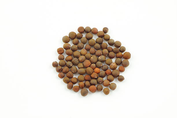 istock Cabbage seeds stand out on a white background. 2224989340