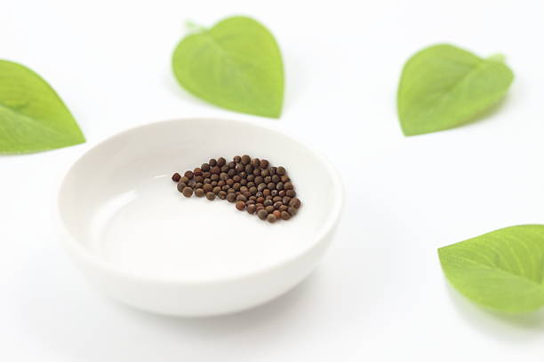 Front view of a wooden scoop filled with Organic False Black Pepper (Embelia ribes) or Baibadang. Isolated on a white background.