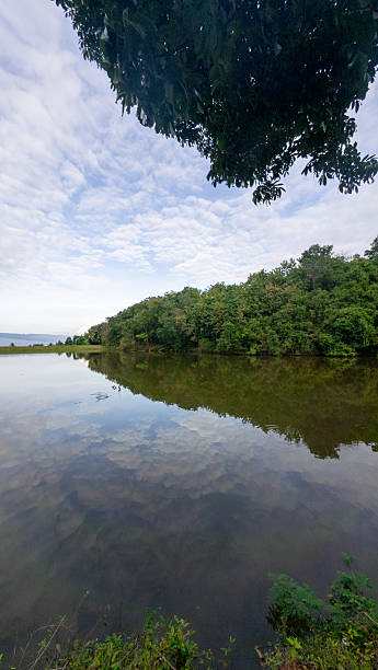 istock Scenic Reflection of Trees in Lake Water 2224990762