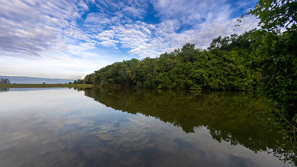 istock Scenic View of Lake Reflection and Trees 2224990772