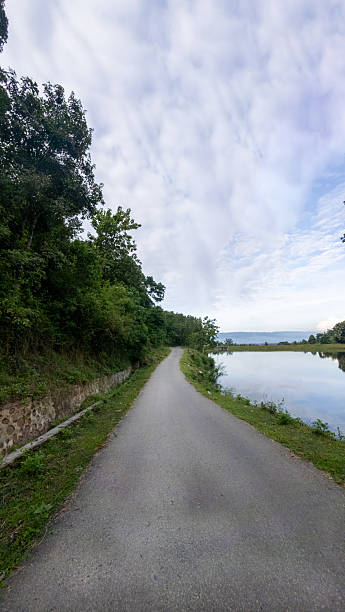 istock Asphalt Road Beside Water and Forest 2224990816