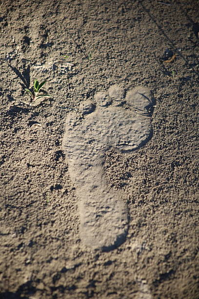 3D Realistic FOOTPRINT Icon. 3D Icon Isolated on White.