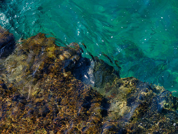 relaxing sea waves and rocks