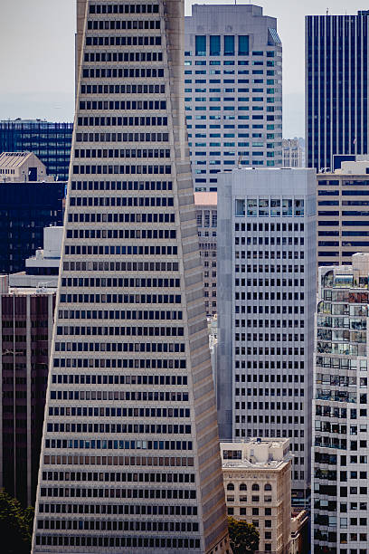 The San Francisco city center at dusk