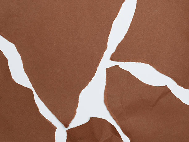 Torn Brown Paper Fragments on White Background