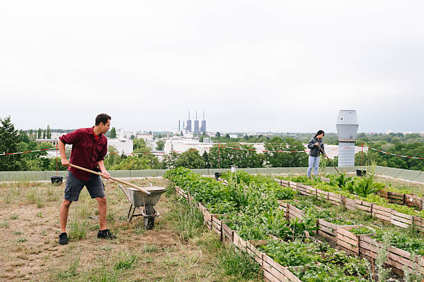 istock Summer: young adults watering plants on a rooftop community garden 2225002121