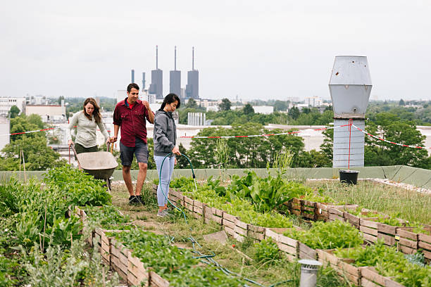 istock Summer: young adults watering plants on a rooftop community garden 2225002127
