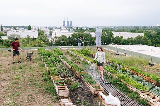 istock Summer: young adults watering plants on a rooftop community garden 2225002152