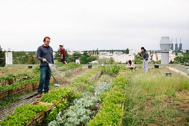 istock Summer: young adults watering plants on a rooftop community garden 2225002206