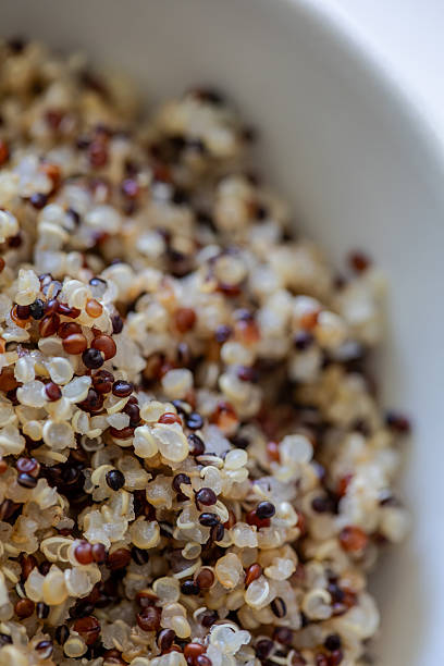 istock Cooked Tricolor Quinoa Close-Up in White Bowl 2225002550