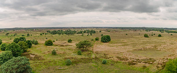 istock View on nature and landscape of Kalmthout Heath during summertime 2225010896