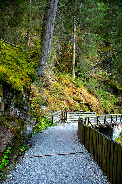 istock High Tauern National Park 2225011706