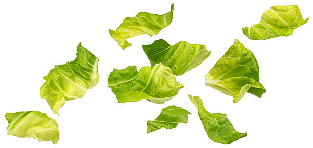 istock Falling chopped lettuce leaves isolated on white background 2225018432