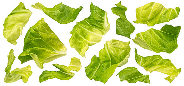 istock Chopped lettuce leaves isolated on white background 2225018441