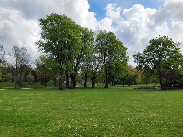istock City park in Rotterdam in the spring 2225019393