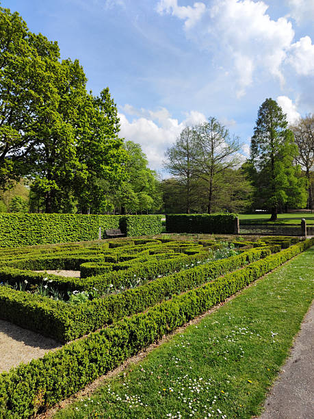 istock City park in Rotterdam in the spring 2225019600