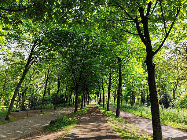 Rotterdam city park
