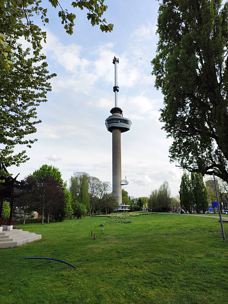 istock City park in Rotterdam in the spring 2225019805
