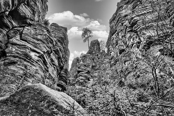 istock Rugged rock formations with a tree on the summit, surrounded by green vegetation 2225022026