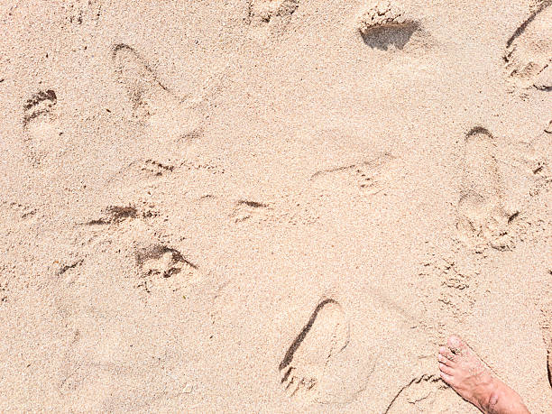 A pair of bare feet lightly covered in sand, standing still on a smooth, tranquil beach.
