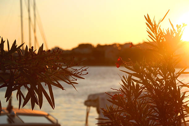 istock Beach in Podstrana, Croatia 2225028326